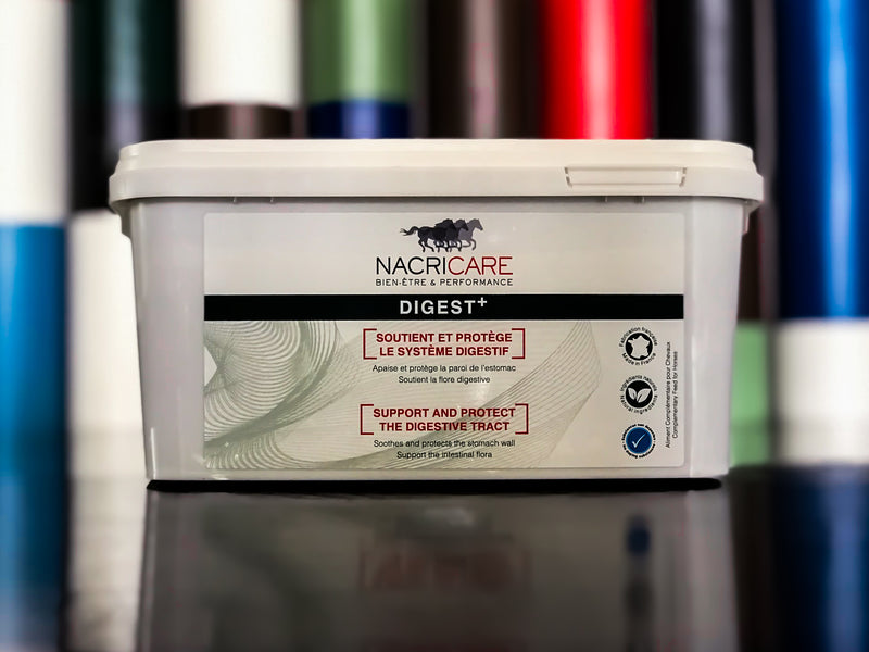 Chargez l'image dans la visionneuse de la galerie, Digest+