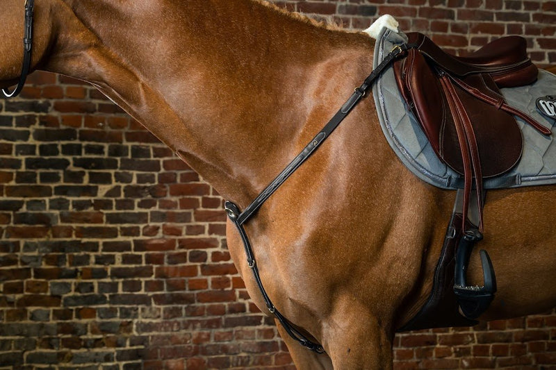 Chargez l'image dans la visionneuse de la galerie, Noir