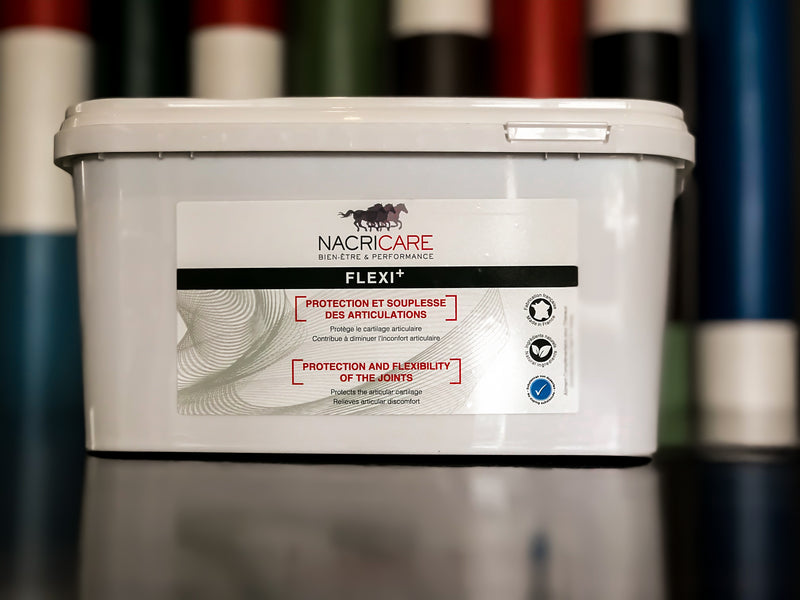 Chargez l'image dans la visionneuse de la galerie, Flexi+