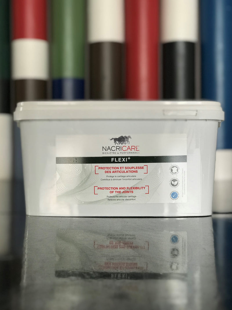 Chargez l'image dans la visionneuse de la galerie, Flexi+