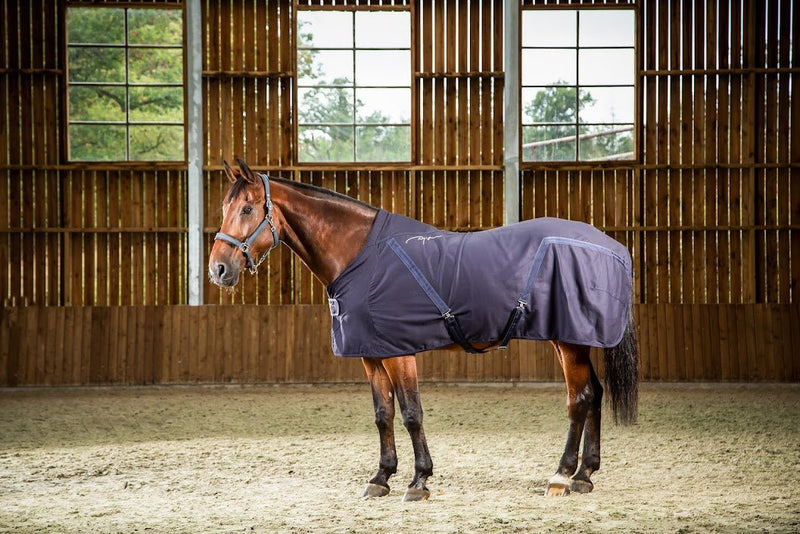 Chargez l'image dans la visionneuse de la galerie, Chemise D'écurie en Coton