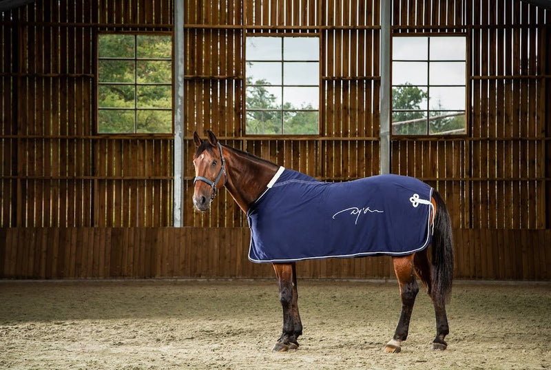 Chargez l'image dans la visionneuse de la galerie, Couverture Polaire