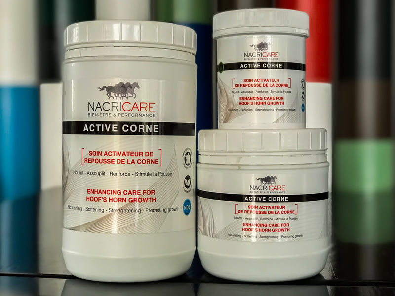 Chargez l'image dans la visionneuse de la galerie, Active corne