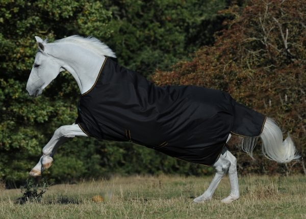 Chargez l'image dans la visionneuse de la galerie, Noir/Or