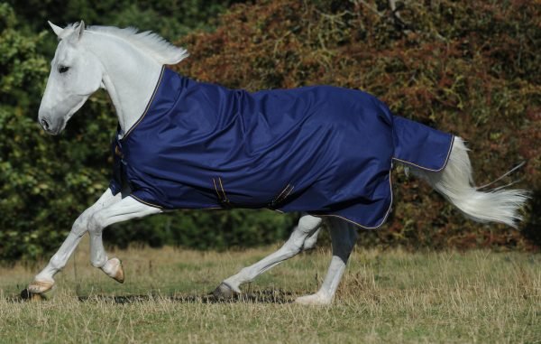 Chargez l'image dans la visionneuse de la galerie, Marine/Or