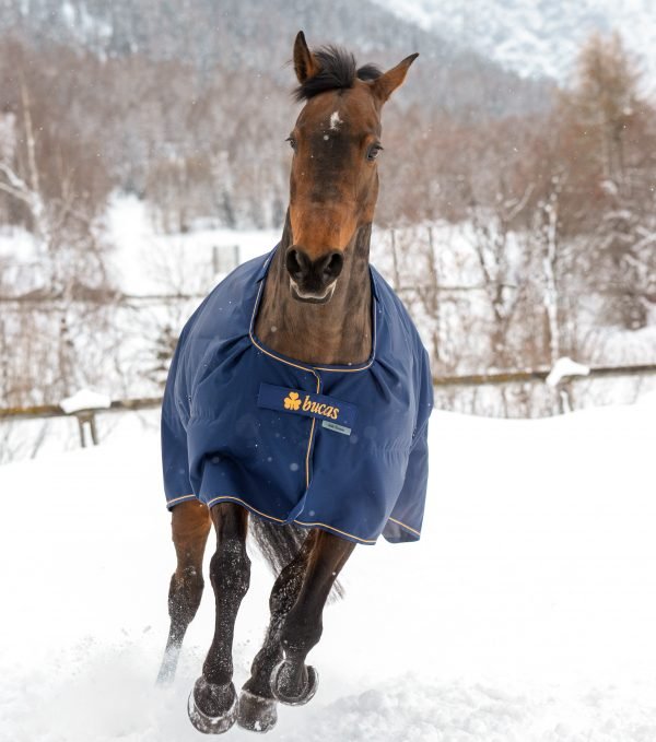 Chargez l'image dans la visionneuse de la galerie, Marine/Or