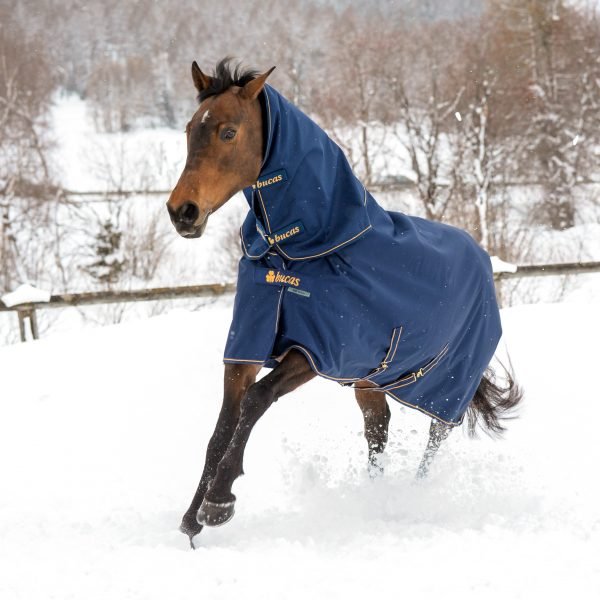 Chargez l'image dans la visionneuse de la galerie, Marine/Or