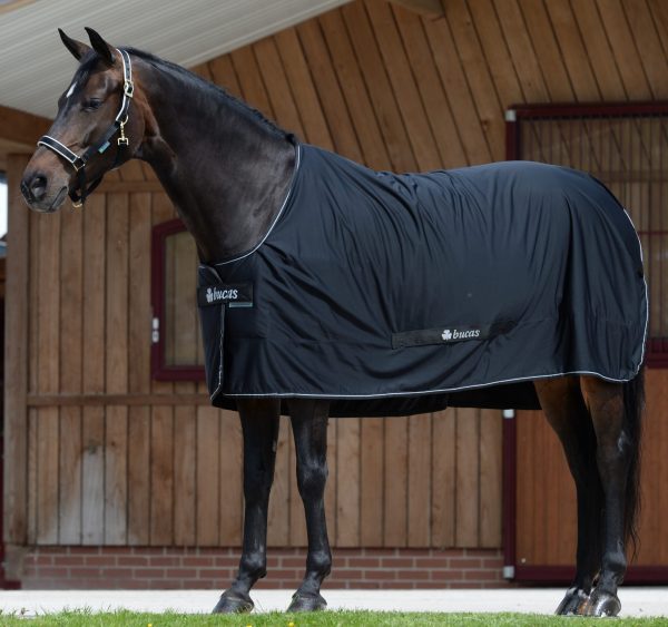 Chargez l'image dans la visionneuse de la galerie, Noir/Argent