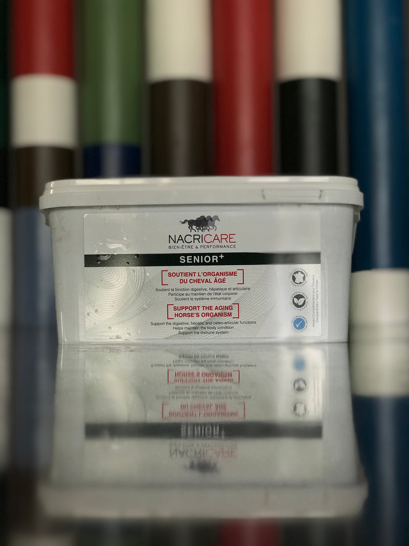 Chargez l'image dans la visionneuse de la galerie, Senior+