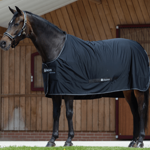 Chargez l'image dans la visionneuse de la galerie, Noir/Argent