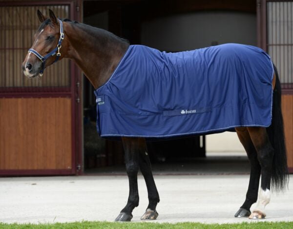 Chargez l'image dans la visionneuse de la galerie, Marine/Argent