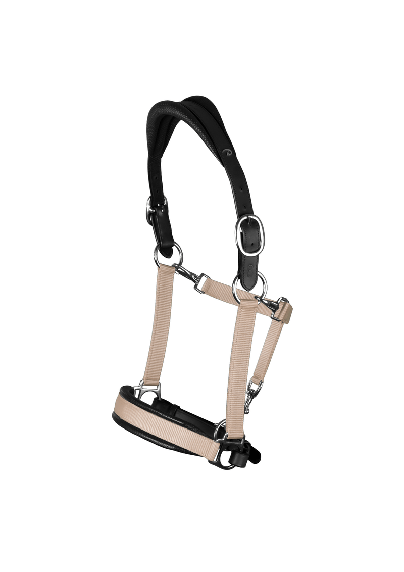 Chargez l'image dans la visionneuse de la galerie, Noir