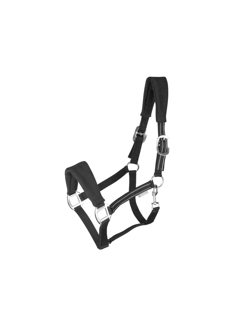 Chargez l'image dans la visionneuse de la galerie, Noir