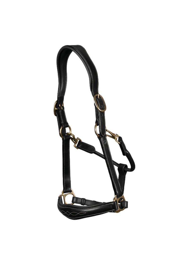 Chargez l'image dans la visionneuse de la galerie, Noir