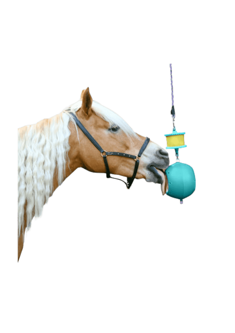 Chargez l'image dans la visionneuse de la galerie, Aigue-marine