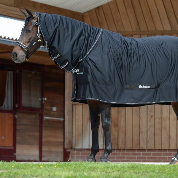 Chargez l'image dans la visionneuse de la galerie, Noir/Argent