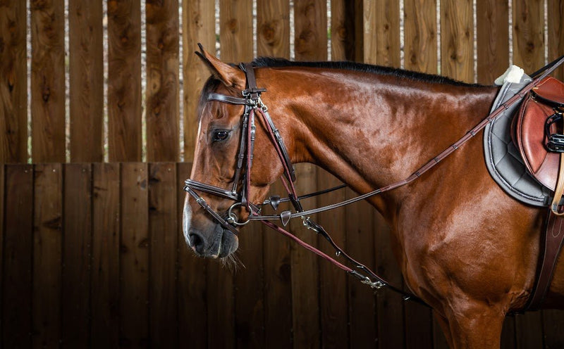 Chargez l'image dans la visionneuse de la galerie, Brun