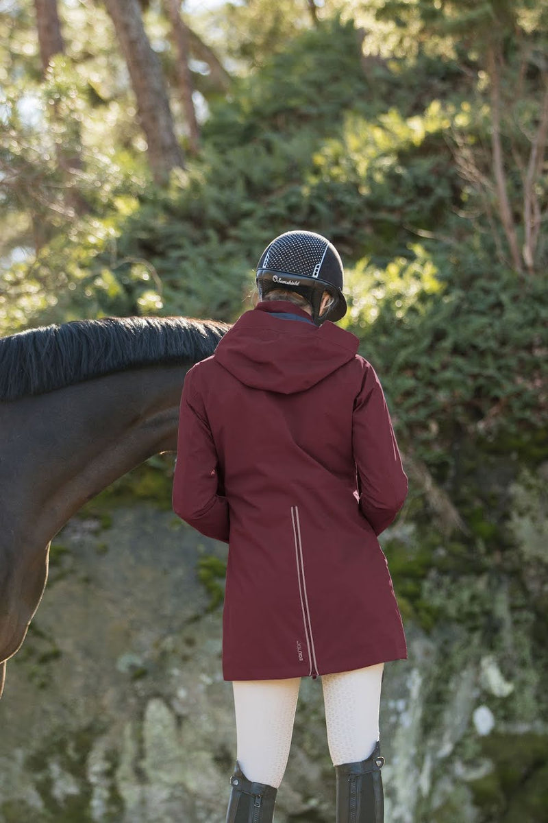 Chargez l'image dans la visionneuse de la galerie, Amarone