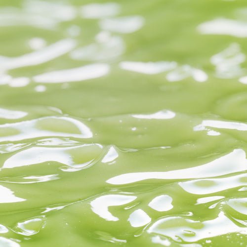 Chargez l'image dans la visionneuse de la galerie, Active corne