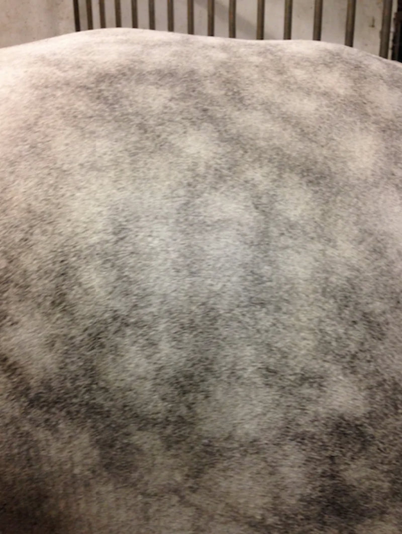 Chargez l'image dans la visionneuse de la galerie, Easyshine mouss