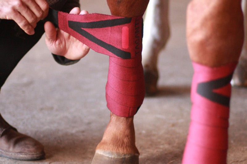 Chargez l'image dans la visionneuse de la galerie, Rouge