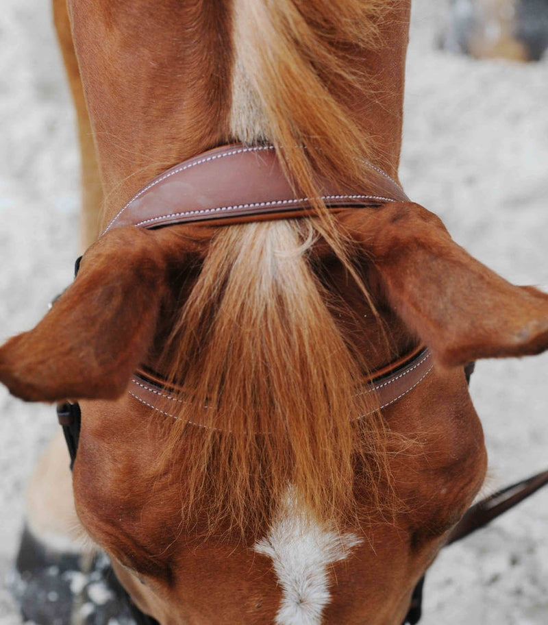 Chargez l'image dans la visionneuse de la galerie, Gold