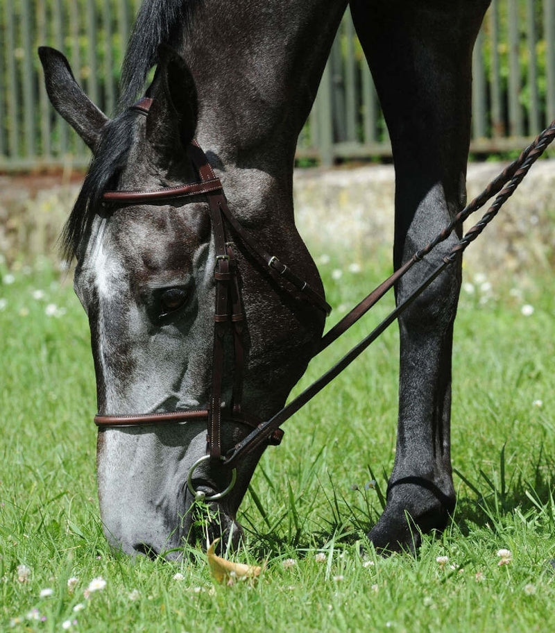 Chargez l'image dans la visionneuse de la galerie, Marron