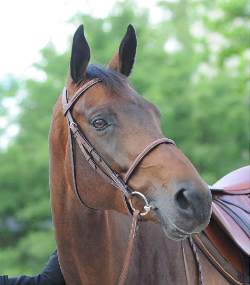 Chargez l'image dans la visionneuse de la galerie, Marron