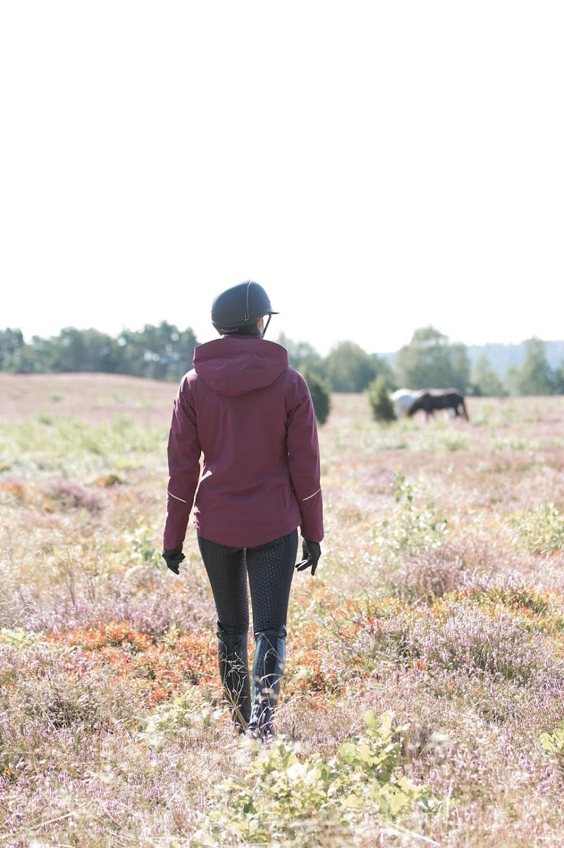 Chargez l'image dans la visionneuse de la galerie, Amarone