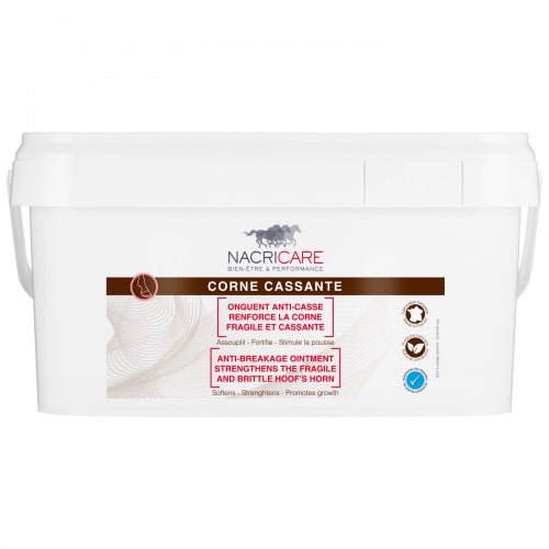 Chargez l'image dans la visionneuse de la galerie, 5 L