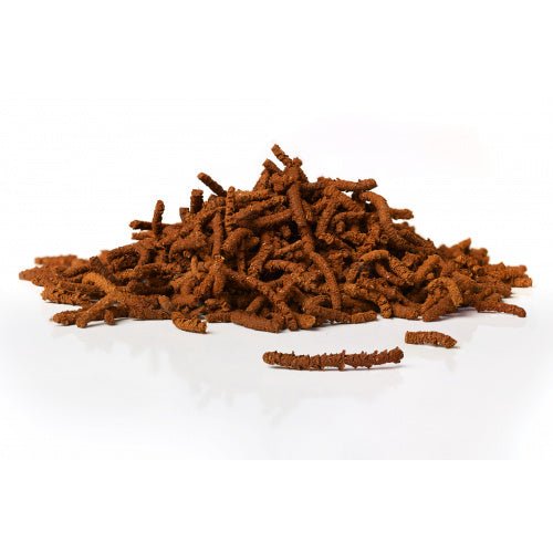 Chargez l'image dans la visionneuse de la galerie, Digest+