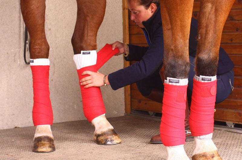 Chargez l'image dans la visionneuse de la galerie, Flanelles