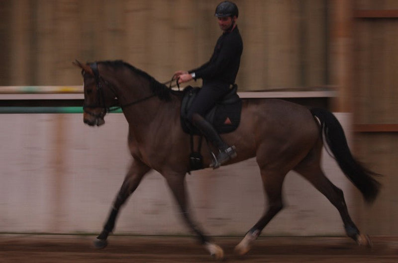 Chargez l'image dans la visionneuse de la galerie, Noir