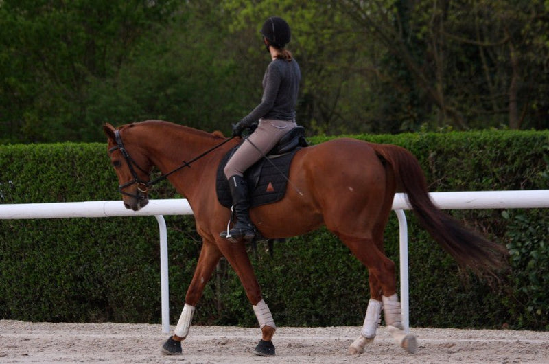 Chargez l'image dans la visionneuse de la galerie, Noir