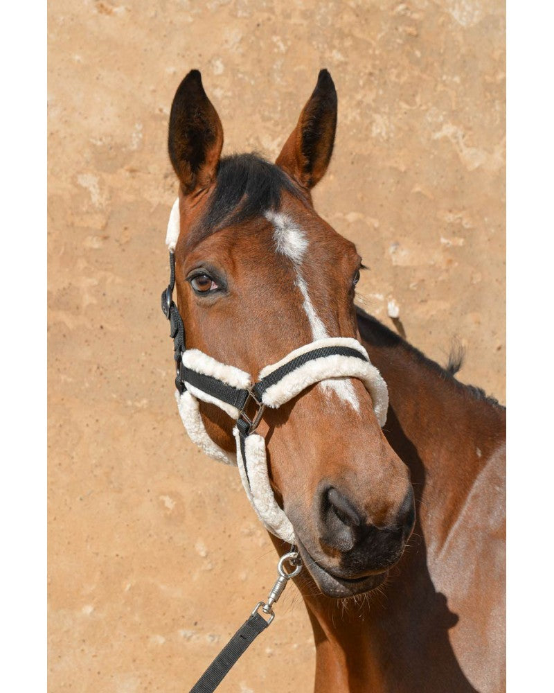 Chargez l'image dans la visionneuse de la galerie, Harley Licol Spring 22