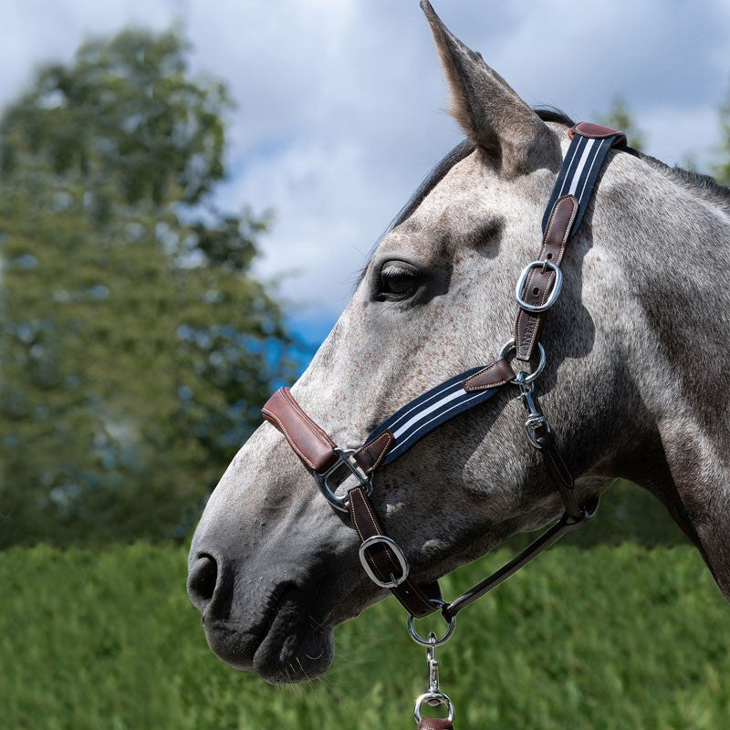 Chargez l'image dans la visionneuse de la galerie, Licol Stressless