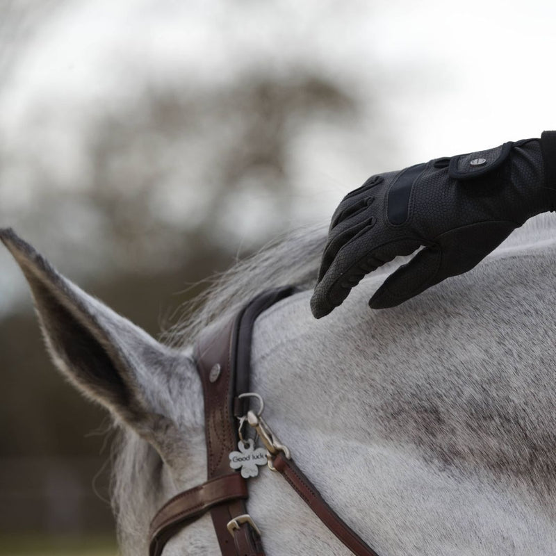 Chargez l'image dans la visionneuse de la galerie, CONCENTRATION