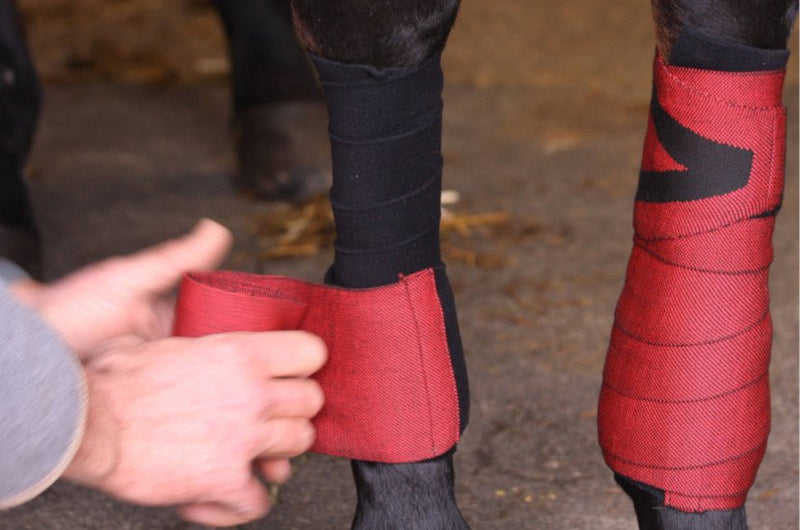 Chargez l'image dans la visionneuse de la galerie, Rouge