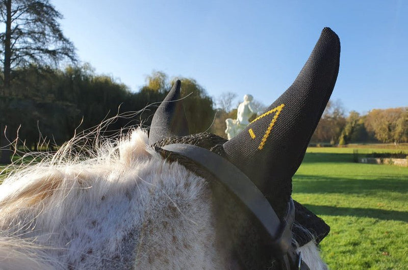 Chargez l'image dans la visionneuse de la galerie, Jaune / Noir