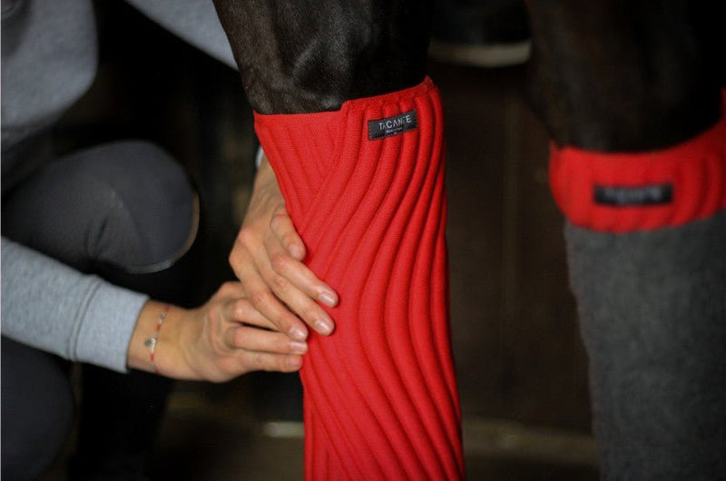 Chargez l'image dans la visionneuse de la galerie, Rouge