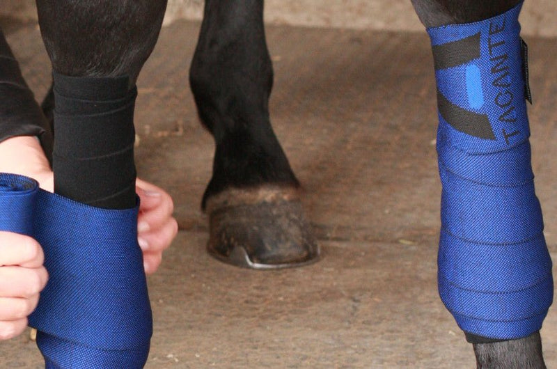 Chargez l'image dans la visionneuse de la galerie, Bleu roi