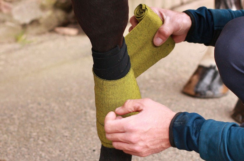 Chargez l'image dans la visionneuse de la galerie, Jaune d'or