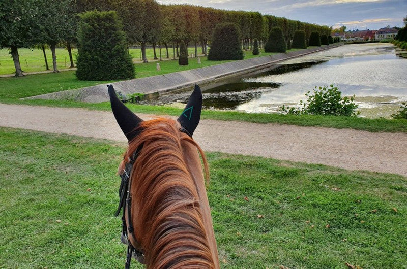 Chargez l'image dans la visionneuse de la galerie, Vert émeraude / Noir