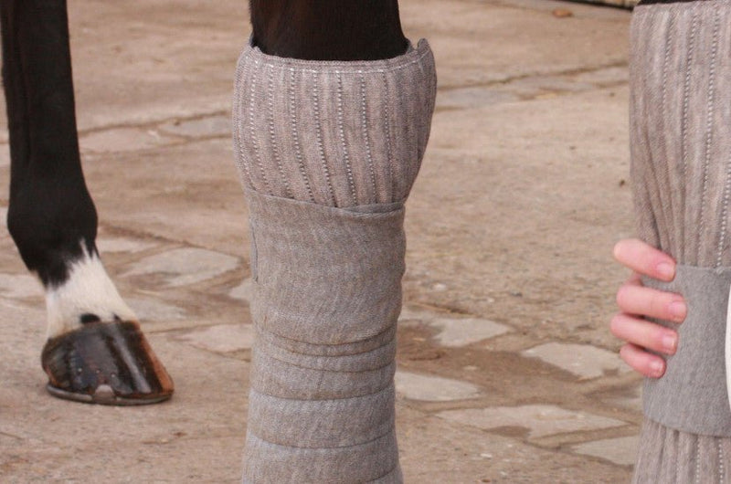 Chargez l'image dans la visionneuse de la galerie, Nature