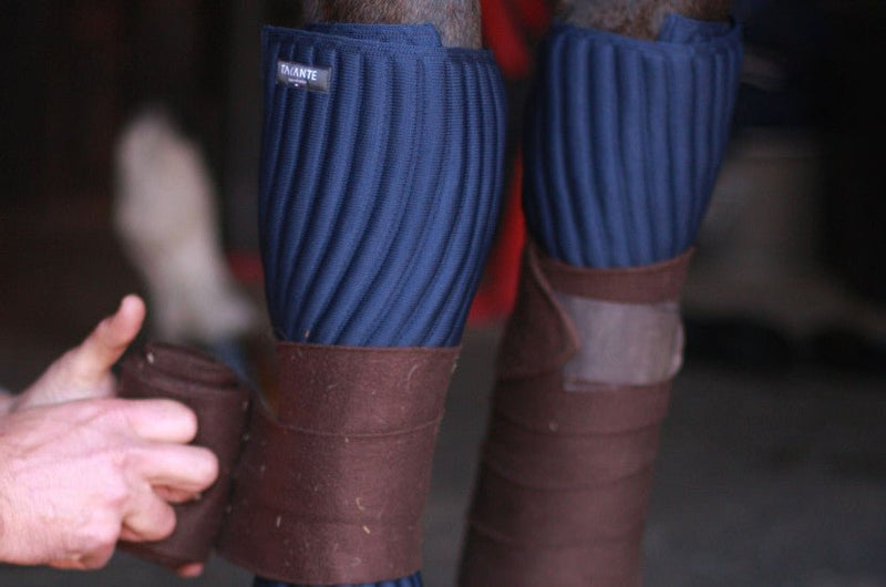 Chargez l'image dans la visionneuse de la galerie, Marine