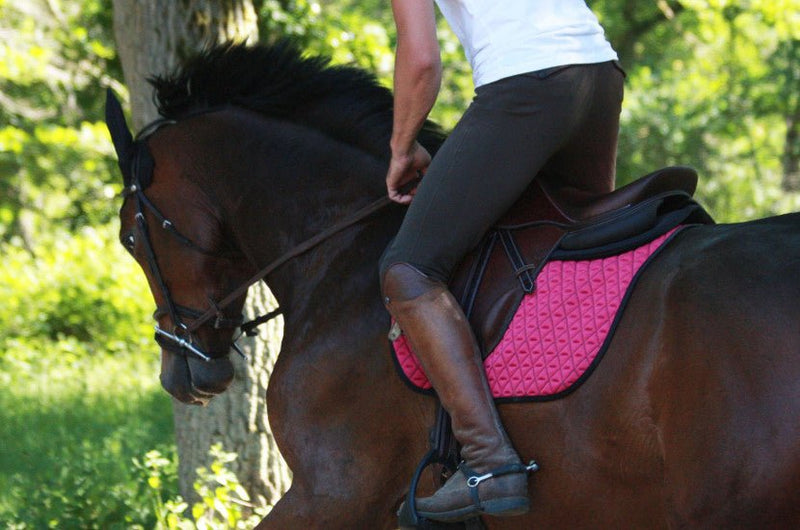 Chargez l'image dans la visionneuse de la galerie, Fuschia