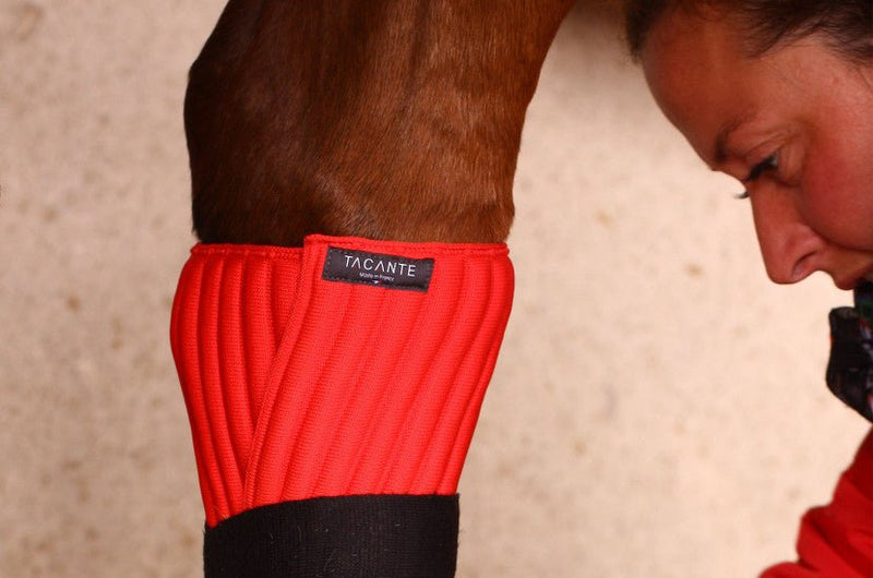 Chargez l'image dans la visionneuse de la galerie, Rouge