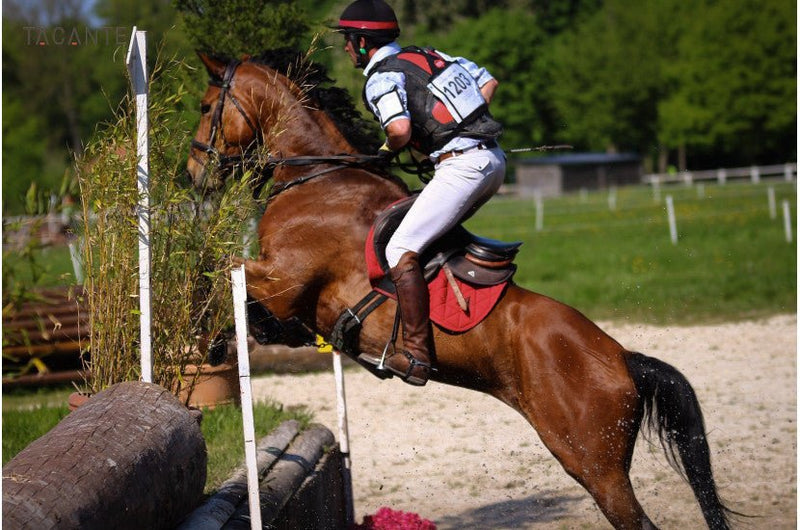 Chargez l'image dans la visionneuse de la galerie, Rouge