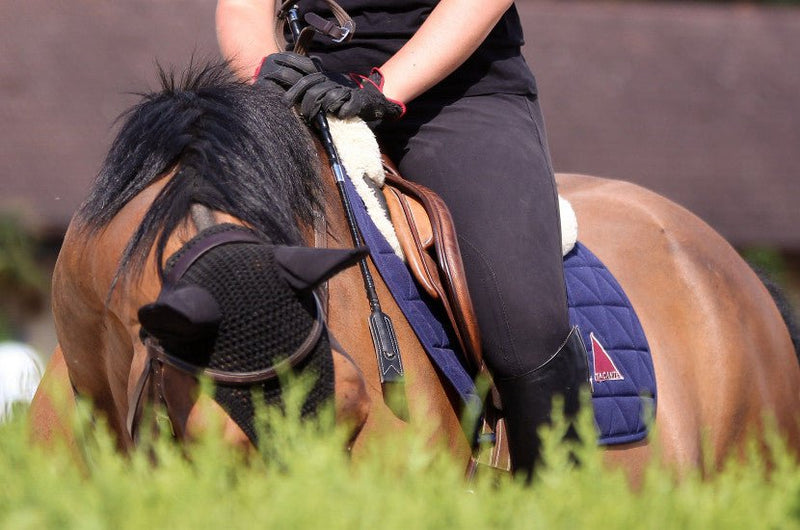 Chargez l'image dans la visionneuse de la galerie, Marine