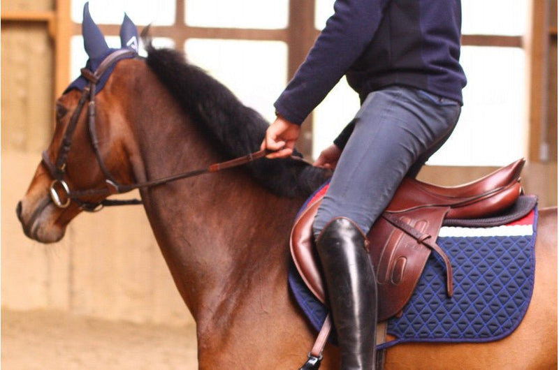 Chargez l'image dans la visionneuse de la galerie, France